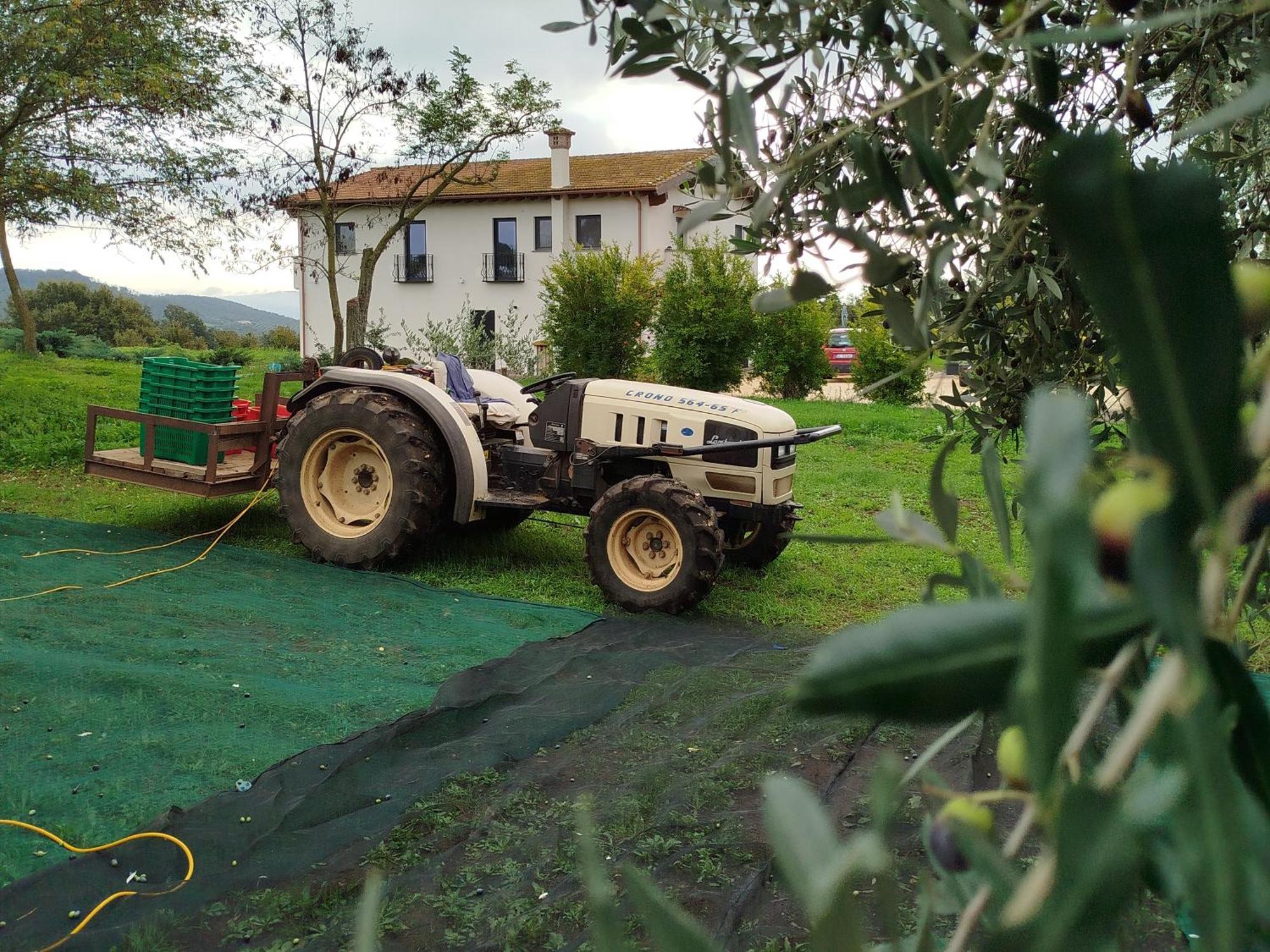 Agriturismo Casale Lisalola Hotel Sutri Exterior foto