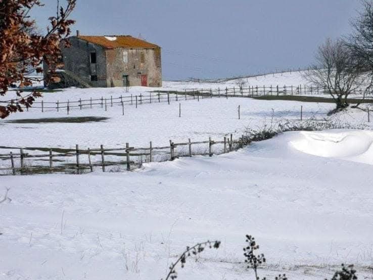 Agriturismo Casale Lisalola Hotel Sutri Exterior foto